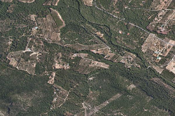 Subasta de Finca rústica en Tarragona - SubastaFácil