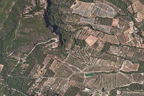 Vista aérea de vivienda en La Pobla de Montornes (Tarragona)